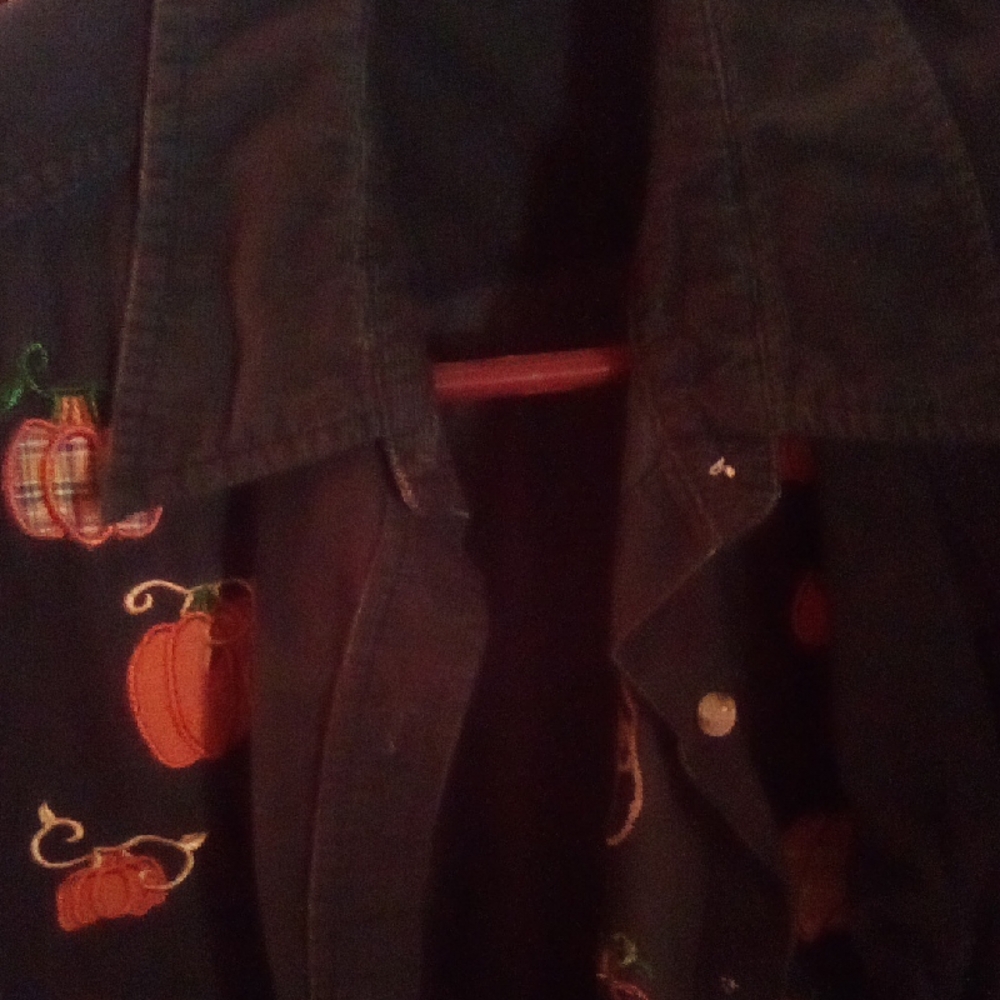Embroidered Pumpkin Button Down Shirt - Black
